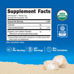 Détail de la poudre de champignon Lion's Mane Nutricost dans une cuillère