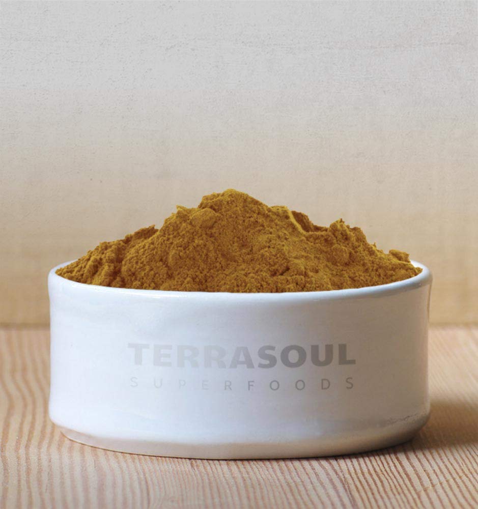 Détail de la poudre de champignon Reishi bio Terrasoul Superfoods