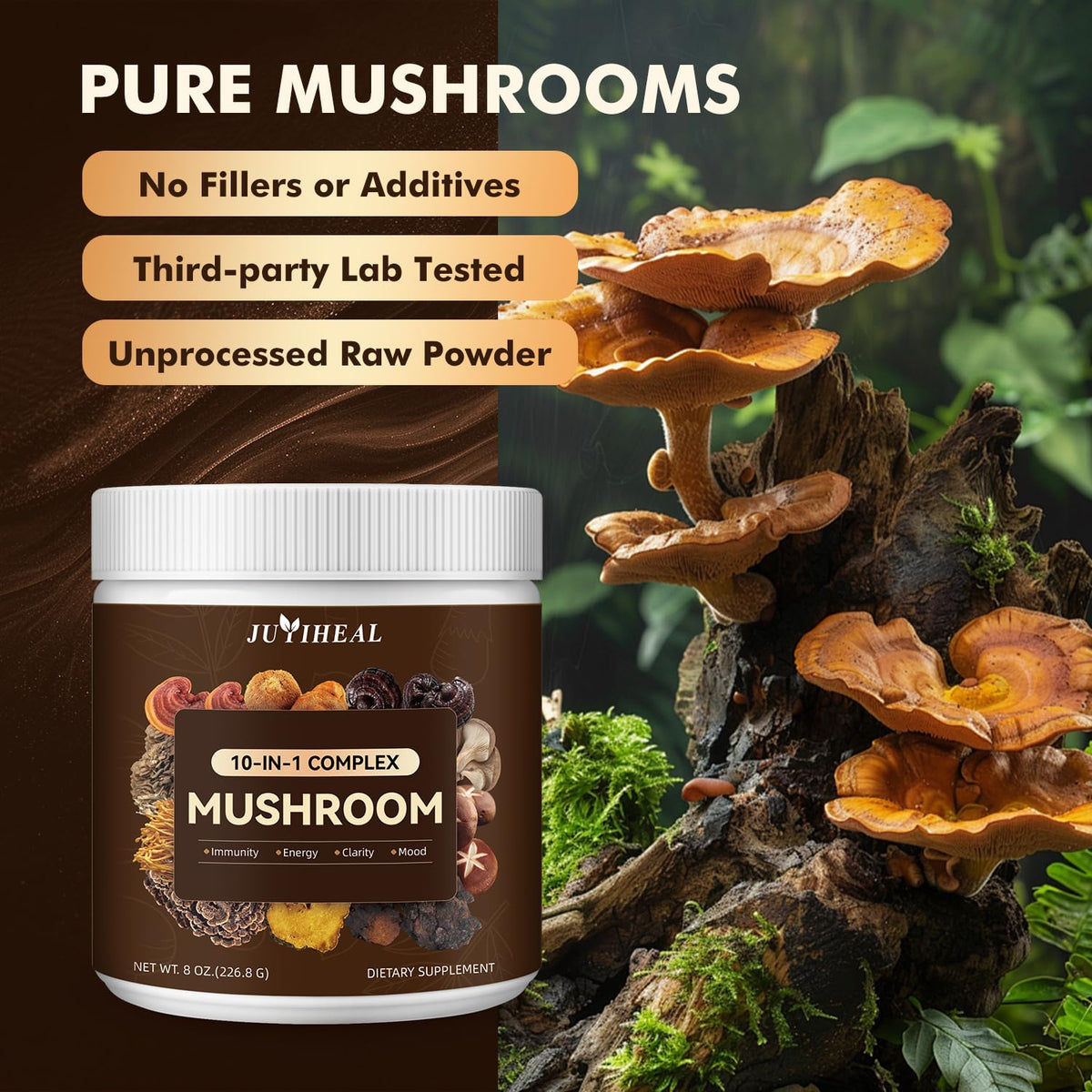 Détail de la poudre de champignons JUYIHEAL dans une cuillère