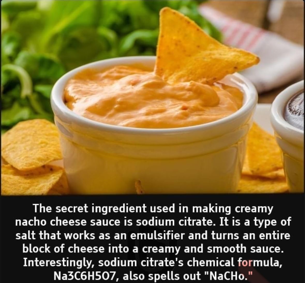 Détail de la poudre de citrate de sodium MS Finechem
