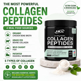 Détail de la poudre de collagène HCL HERBAL CODE LABS dans un bol