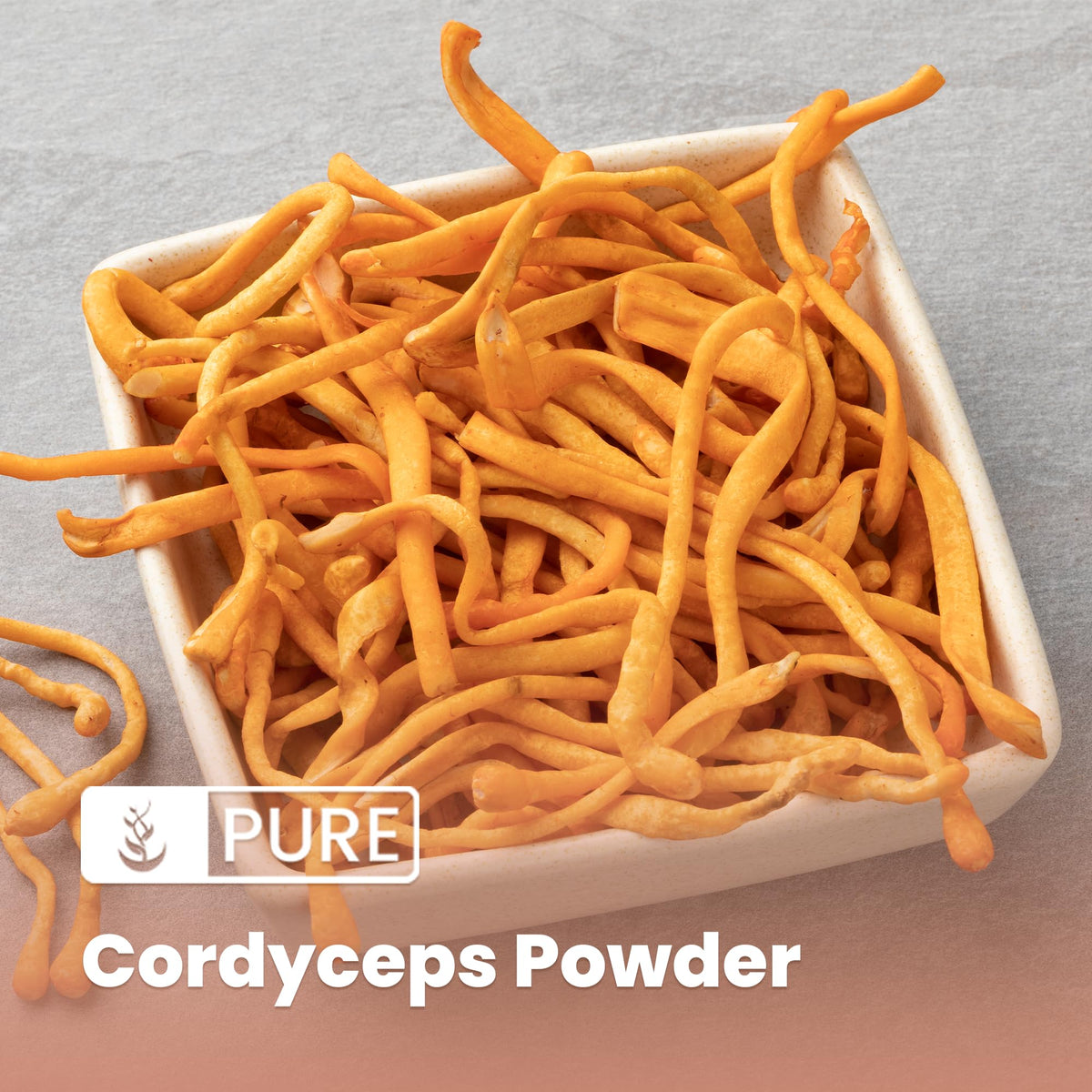 Détail de la poudre de Cordyceps dans une cuillère