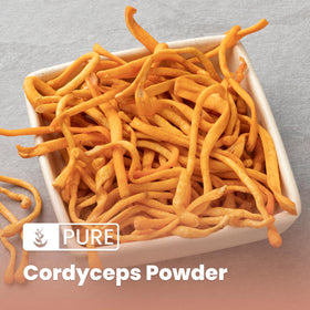 Détail de la poudre de Cordyceps dans une cuillère