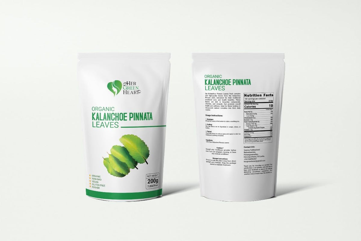 Détail de la poudre de feuilles de Kalanchoe Pinnata dans un bol
