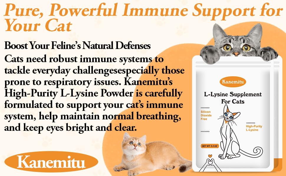 Détail de la poudre de L-Lysine pour Chats dans une cuillère