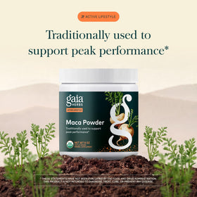 Détail de la poudre de maca Gaia Herbs