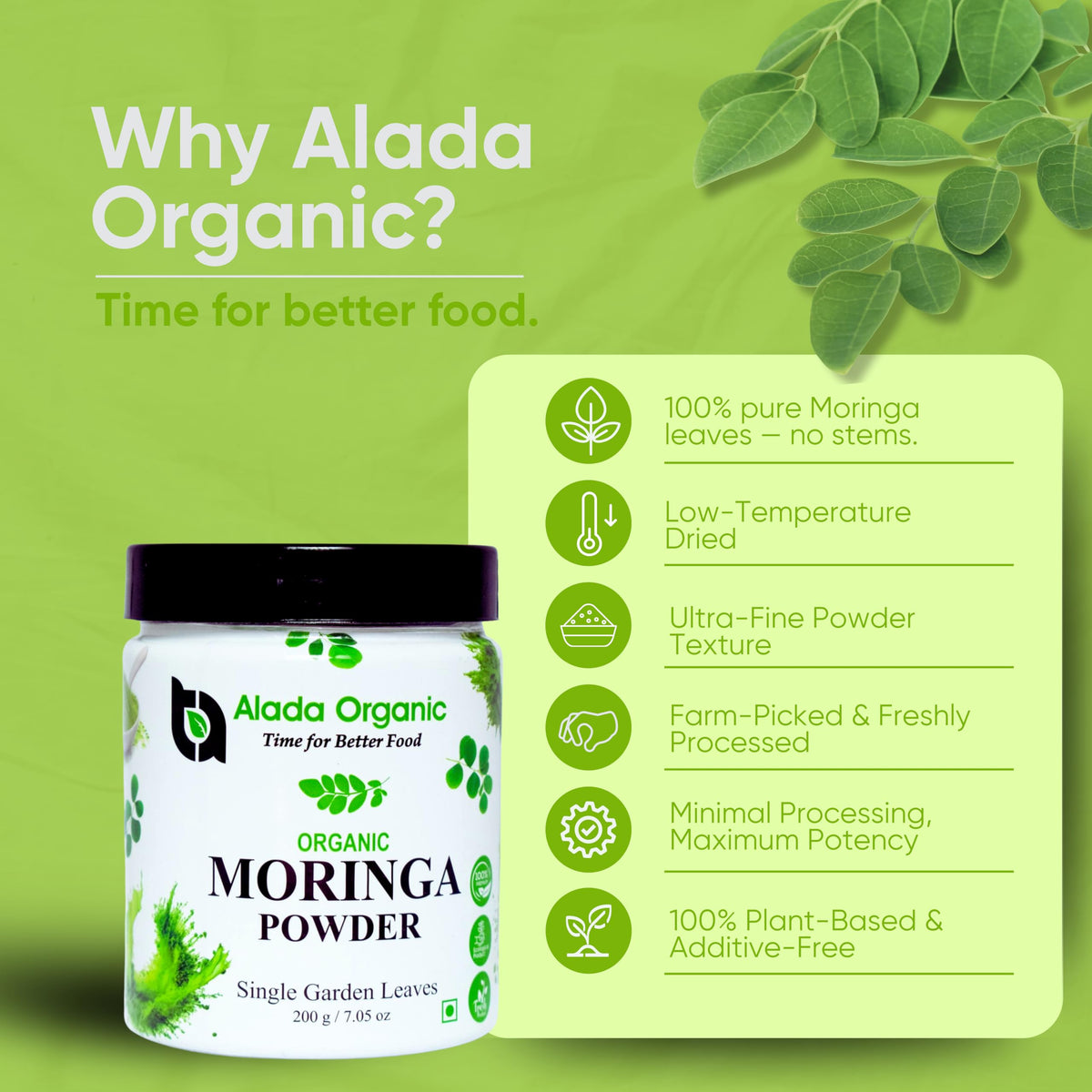 Détail de la poudre de Moringa Bio ALADA ORGANIC sur une cuillère