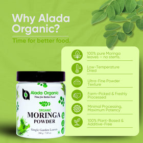 Détail de la poudre de Moringa Bio ALADA ORGANIC sur une cuillère