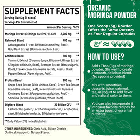 Détail de la poudre de moringa bio Easinloty sur une cuillère
