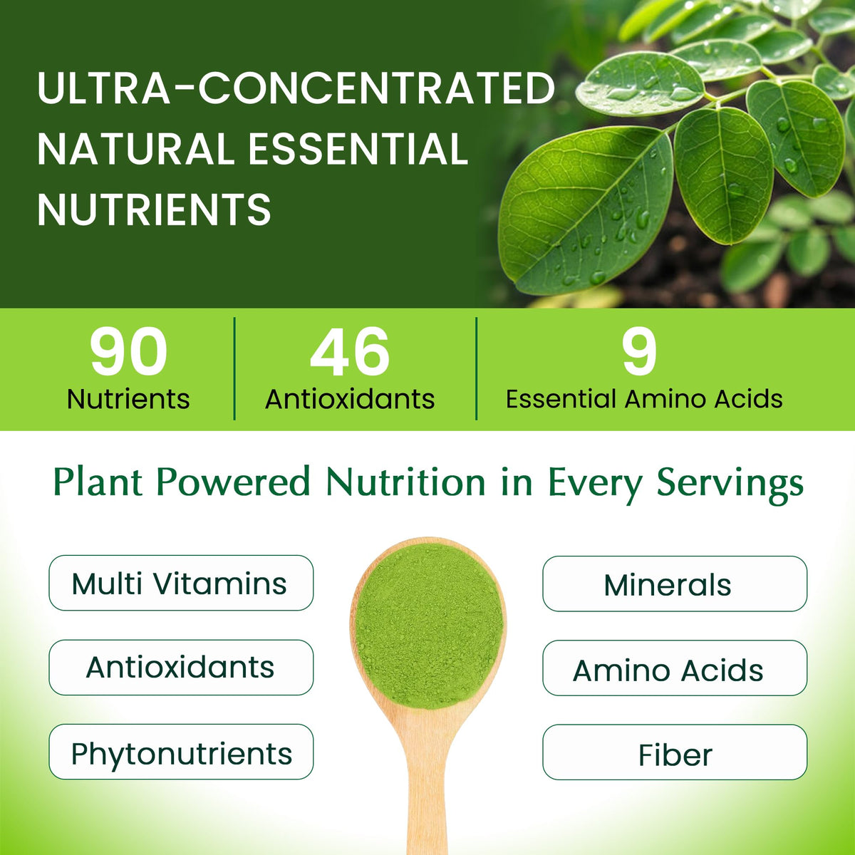 Détail de la poudre de Moringa Organic Veda