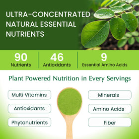 Détail de la poudre de Moringa Organic Veda