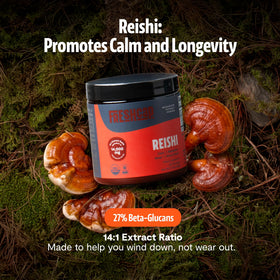 Détail de la poudre de Reishi FreshCap dans une cuillère