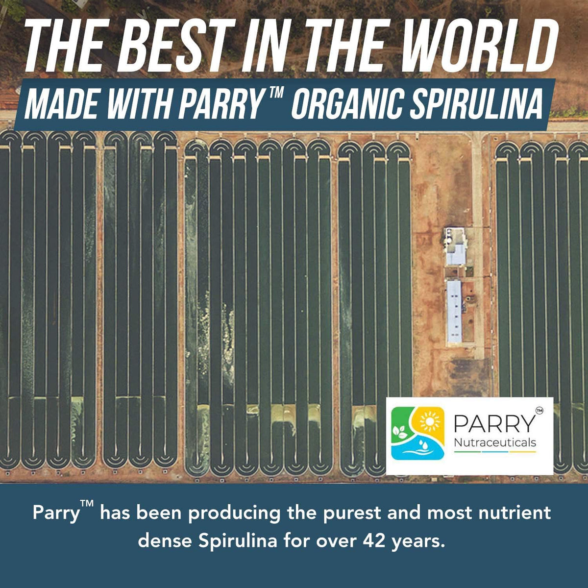 Détail de la poudre de spiruline bio Parry 272g
