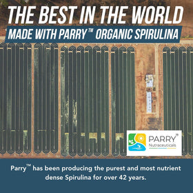 Détail de la poudre de spiruline bio Parry 272g