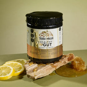 Détail de la Poudre Intestinale Saine TERRA ORIGIN au Miel Citron