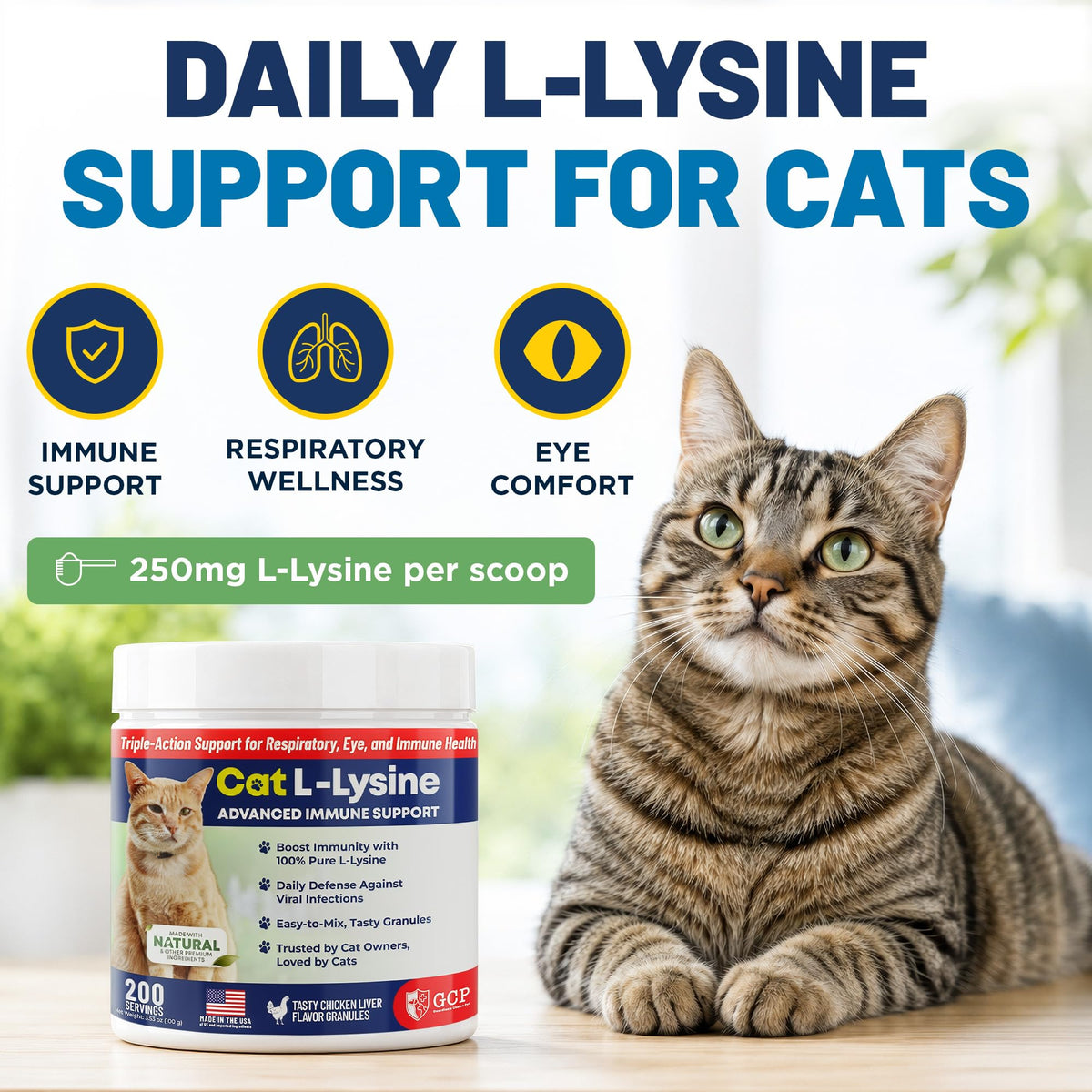 Détail de la poudre L-Lysine pour chats avec cuillère