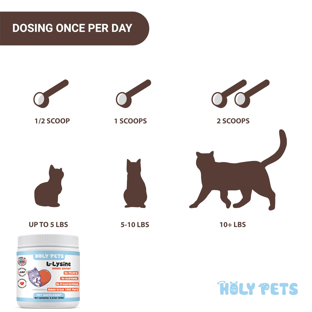 Détail de la poudre L-Lysine pure Holy Pets, texture