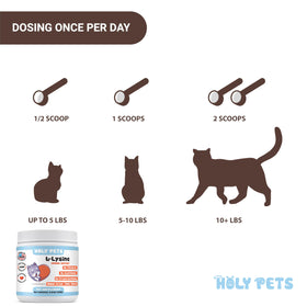 Détail de la poudre L-Lysine pure Holy Pets, texture