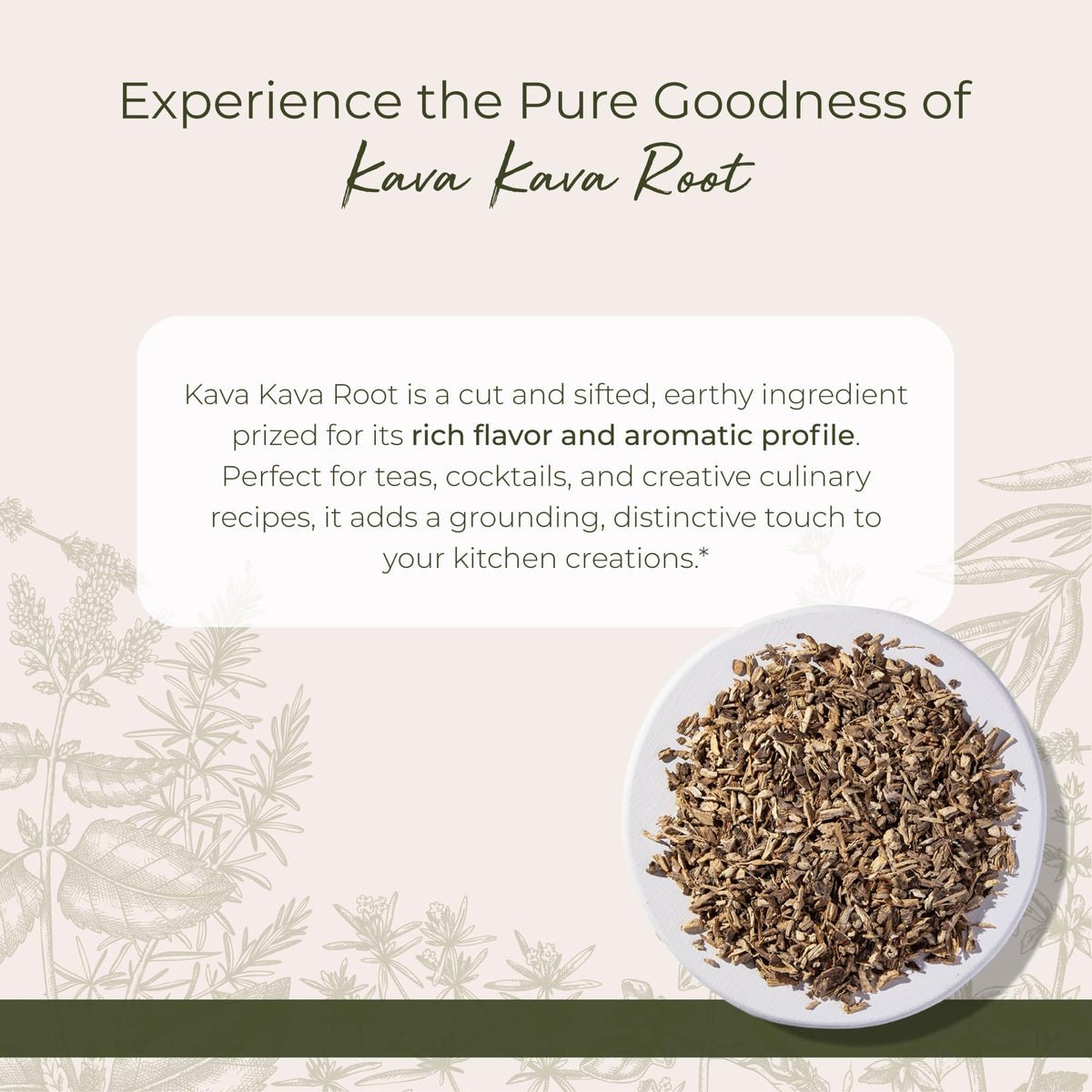 Détail de la racine de Kava Kava Starwest Botanicals