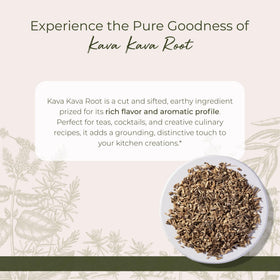 Détail de la racine de Kava Kava Starwest Botanicals