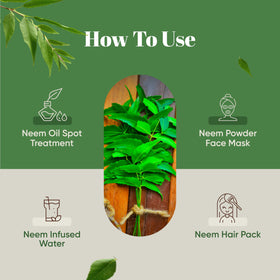 Détail de la texture de la poudre de neem H&C