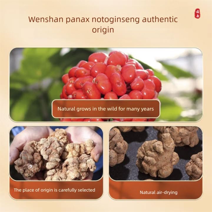 Détail de la texture de la Poudre de Racine de Tien Chi DIAN MAI HAO