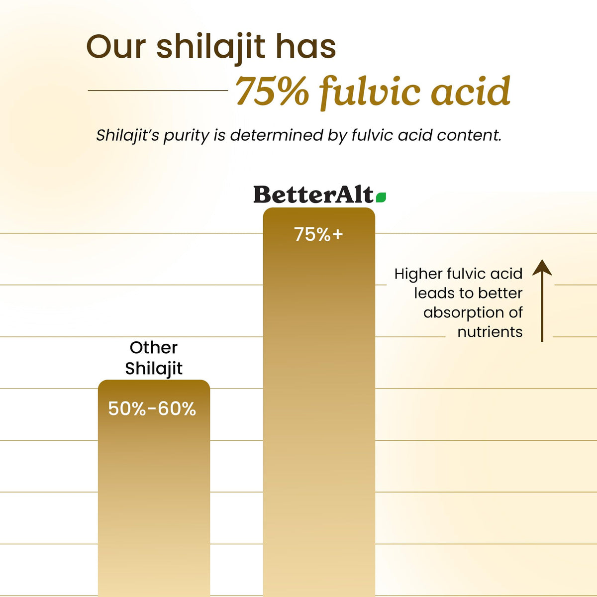 Détail de la texture de la résine de Shilajit