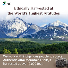 Détail de la texture de la résine de Shilajit Sayan