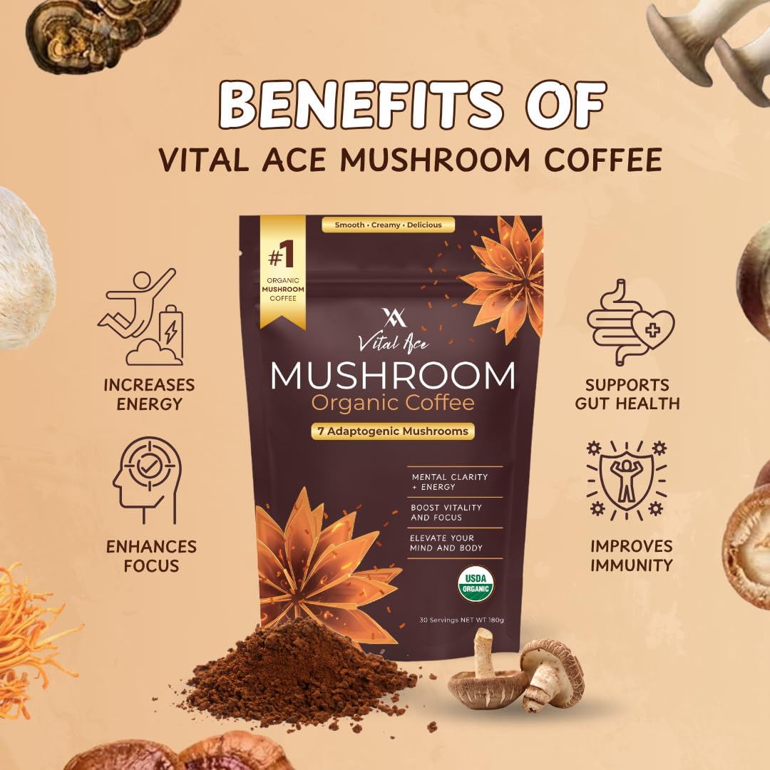 Détail de la texture du café de champignons Vital Ace