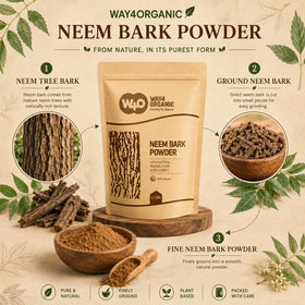 Détail de la texture fine de la poudre d'écorce de neem