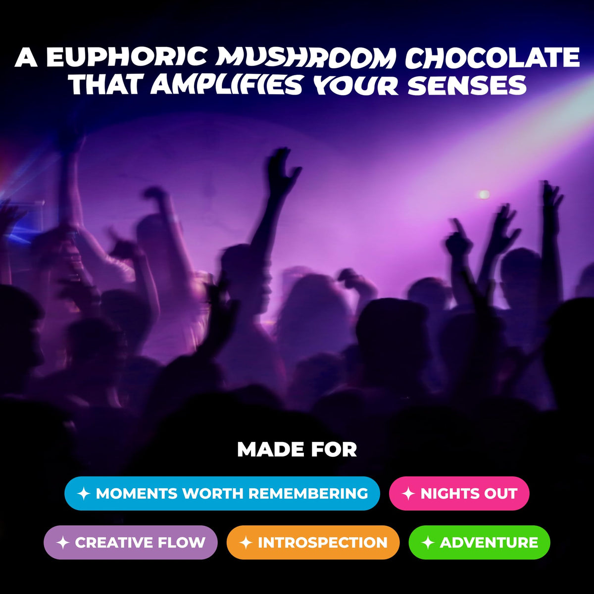 Détail des bouchées de chocolat Shrumfuzed avec champignons
