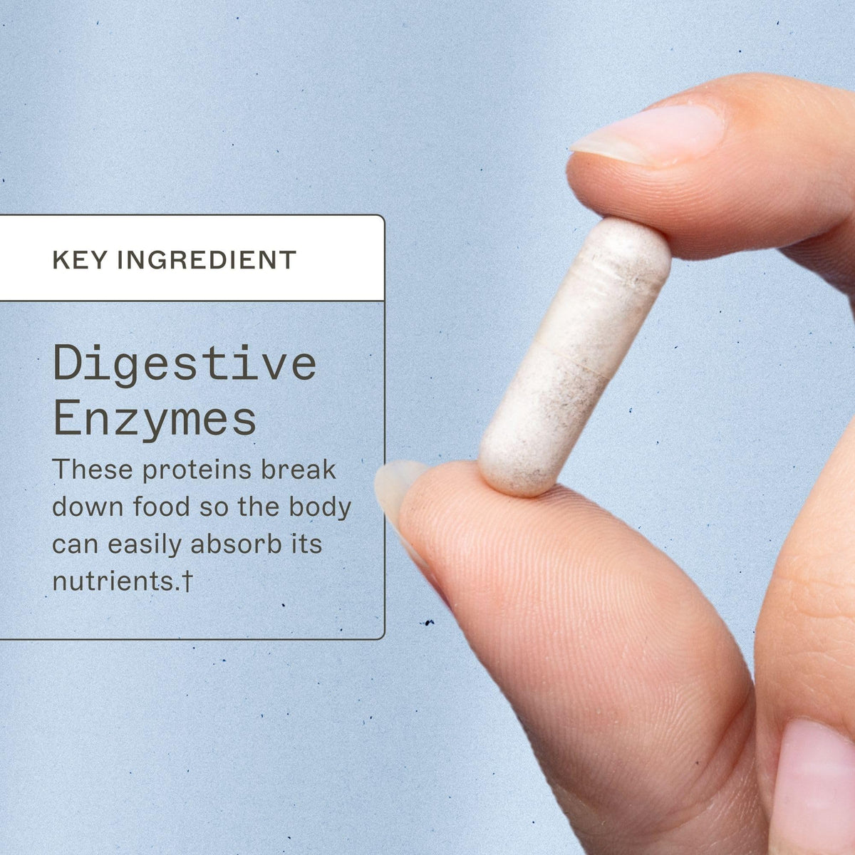 Détail des capsules Amy Myers MD Multi-Enzymes