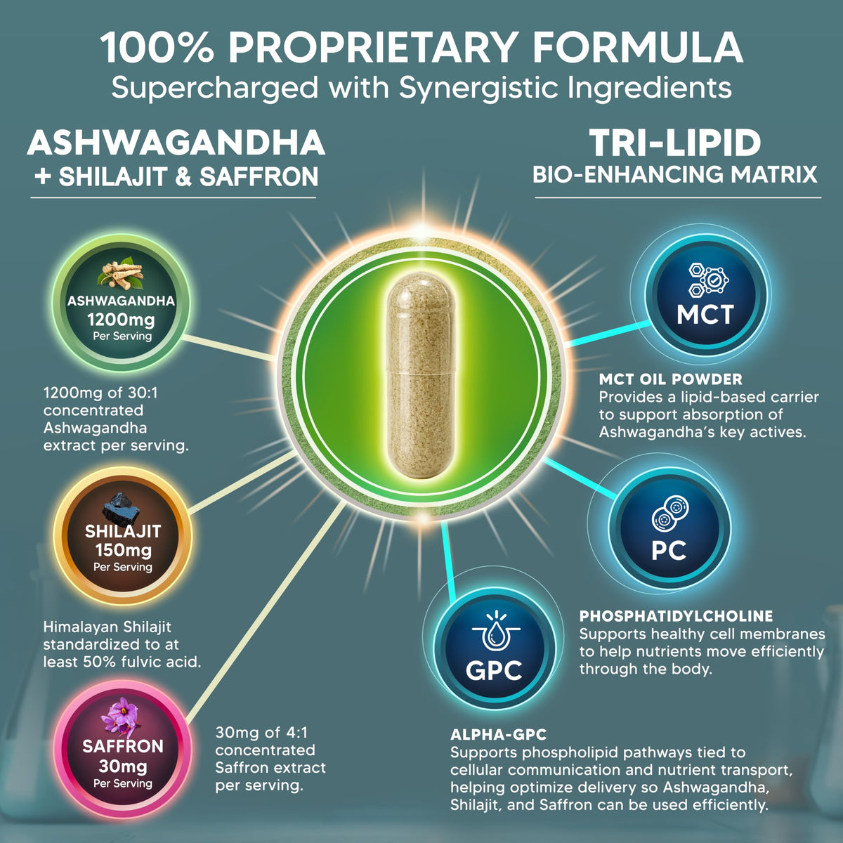 Détail des capsules Ashwagandha aSquared Nutrition