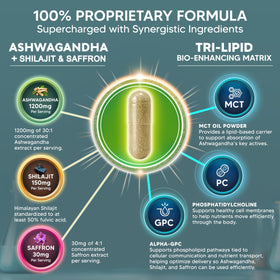 Détail des capsules Ashwagandha aSquared Nutrition