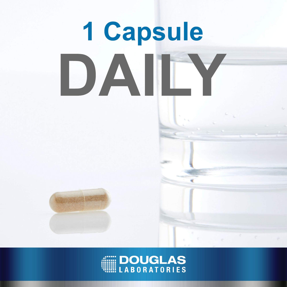 Détail des capsules Ayur-Ashwaganda Douglas Laboratories