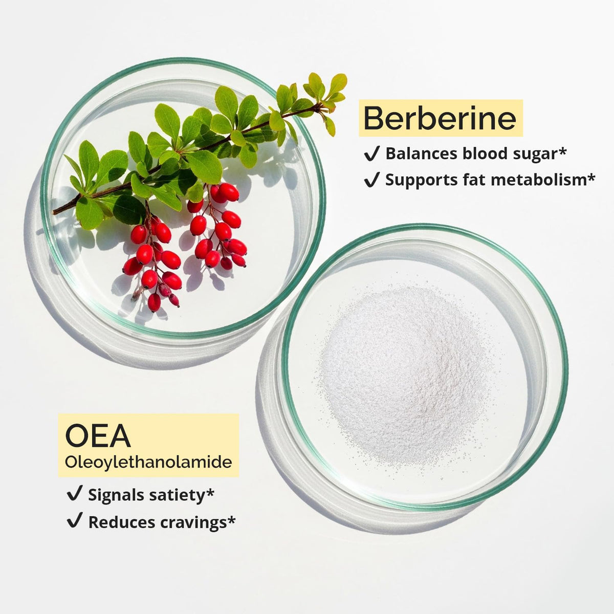 Détail des capsules BrainMD Smart a balanced routine Burn