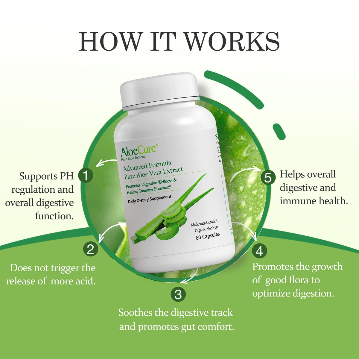 Détail des capsules d'Aloe Vera bio AloeCure