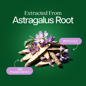 Détail des capsules d'Astragalus Racine Purely Holistic