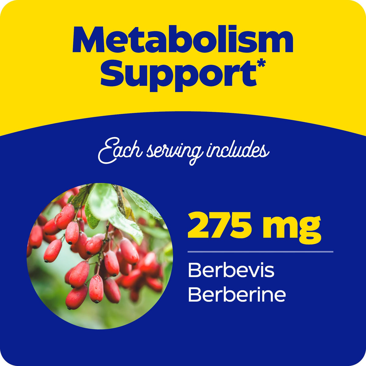 Détail des capsules d'Enzymedica Berberine Phytosome