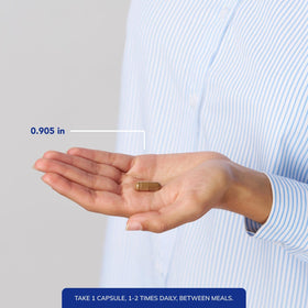Détail des capsules d'extrait de Coriolus Pure Encapsulations