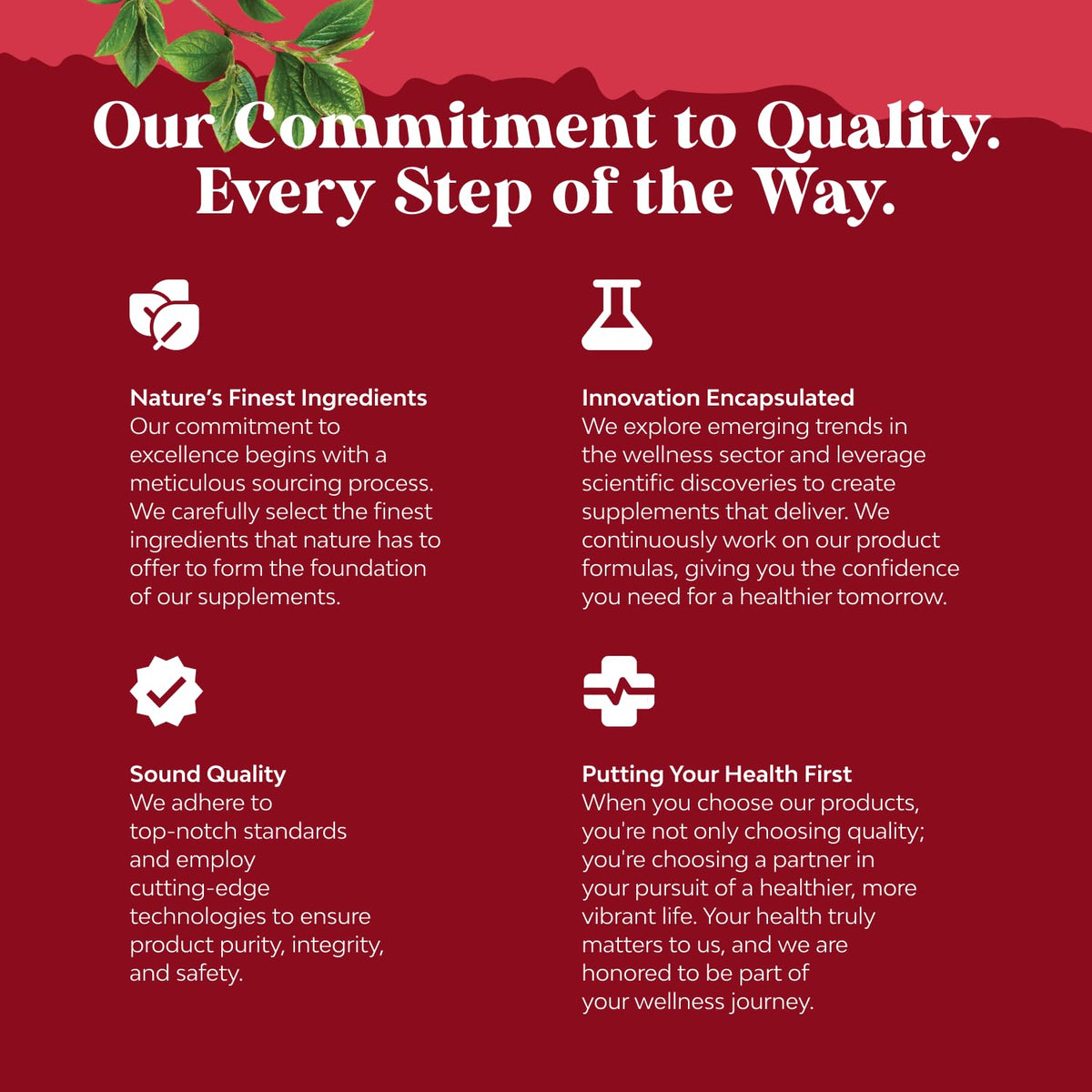 Détail des capsules d'extrait de grenade Natures Craft 500mg