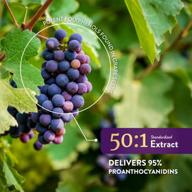 Détail des capsules d'extrait de pépins de raisin Purely Holistic