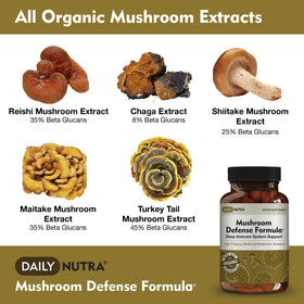 Détail des capsules DailyNutra Champignon Défense