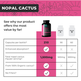 Détail des capsules de cactus nopal Eleva Nutrition