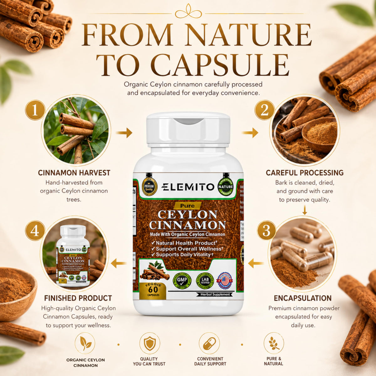 Détail des capsules de cannelle de Ceylan ELEMITO