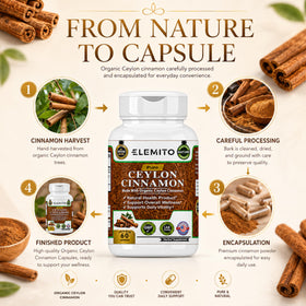 Détail des capsules de cannelle de Ceylan ELEMITO