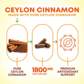 Détail des capsules de cannelle de Ceylan Nature's Nutrition
