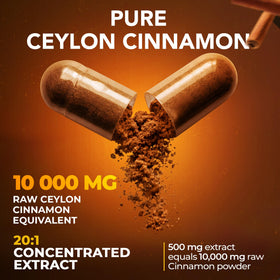 Détail des capsules de cannelle de Ceylan NutriFact 500mg