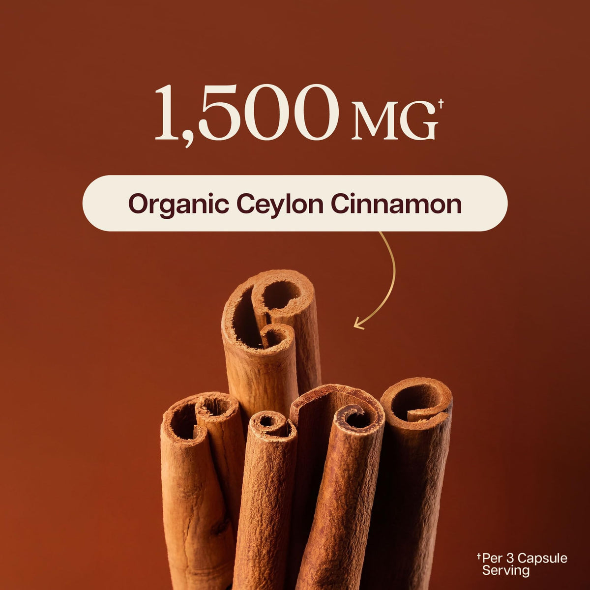 Détail des capsules de cannelle de Ceylan Purely Holistic