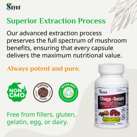 Détail des capsules de Chaga et Reishi Sayan, format 440mg